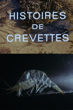 Shrimp Stories (1964)