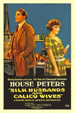 Silk Husbands and Calico Wives (1920)