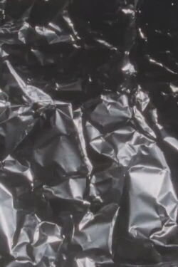Silver Screen (2000)