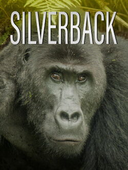 Silverback (2024)