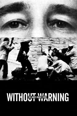 Sin Aviso: La Historia de James Brady (1991)