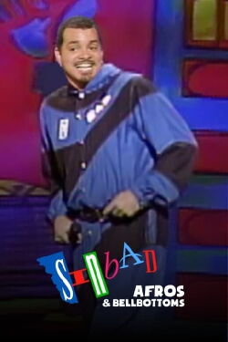 Sinbad: Afros and Bellbottoms (1993)