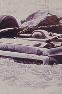 Sincerity V (1980)