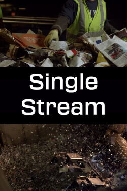 Single Stream (2014)