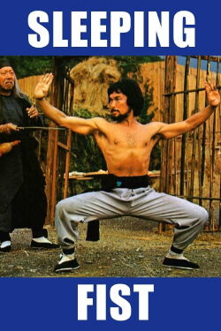 Sleeping Fist (1979)