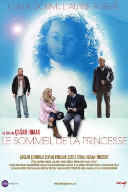 Sleeping Princess (2010)