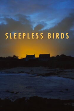 Sleepless Birds (2023)