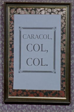Snail, Cabbage, Cabbage (1995)