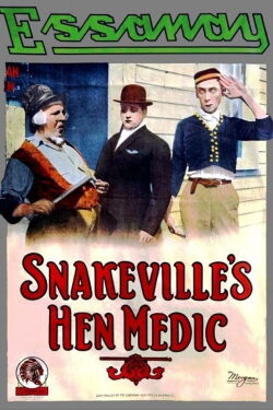 Snakeville's New Doctor (1914)