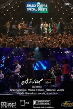Snarky Puppy with Special Guest - Live at Estival Jazz Lugano (2014)