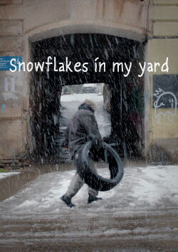 Snowflakes in my Yard (2025)