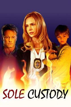 Sole Custody (2014)