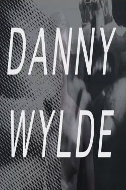 Somesuch Presents: Danny Wylde (2015)
