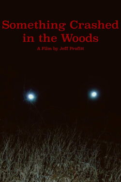 Something Crashed in the Woods (2019)