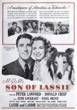 Son of Lassie (1945)