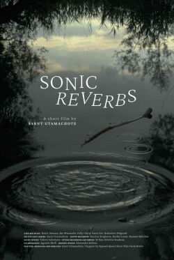 Sonic Reverbs (2022)