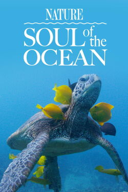 Soul of the Ocean (2023)