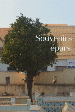 Souvenirs épars (2024)