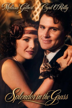 Splendor in the Grass (1981)