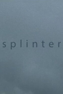 Splinter (2013)