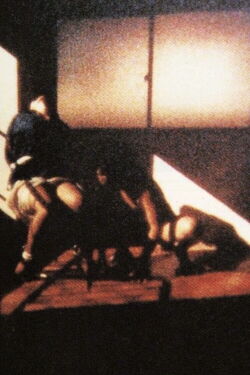 Squareworld (1995)