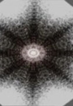 Star Light N°5 (2012)