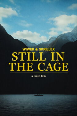 Still In The Cage (2016)