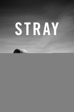 Stray (2021)