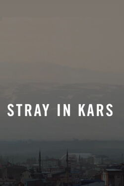 Stray in Kars (2022)