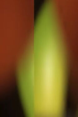 Stretch and Pull (2014)