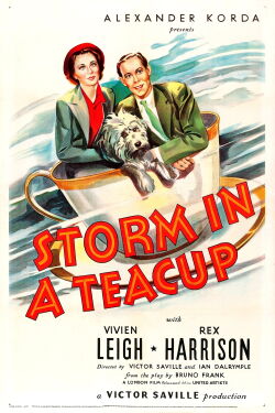 Sturm im Wasserglas (1937)