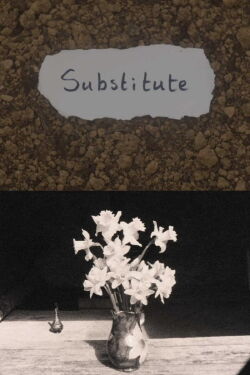 Substitute (2018)