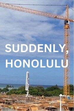Suddenly, Honolulu (2015)
