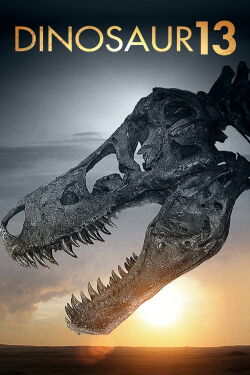 Sue, dinosaure n°13 (2014)