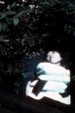 SUMMER IS GONE (1978)