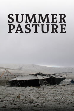 Summer Pasture (2011)