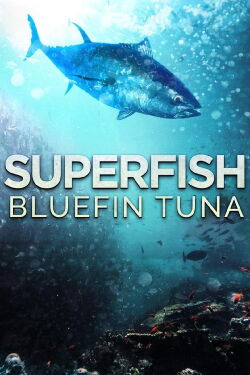 Superfish - Sprinter der Ozeane (2012)
