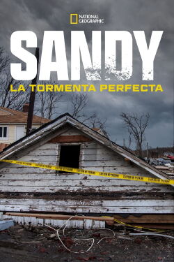 Superstorm New York: What Really Happened (2012)