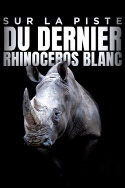 Sur la piste du dernier rhinocéros blanc (2022)