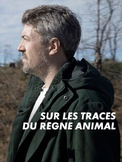 Sur les traces du règne animal (2024)