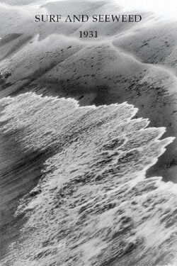 Surf and Seaweed (1931)