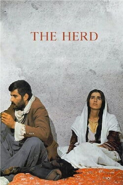 Sürü – Die Herde (1978)