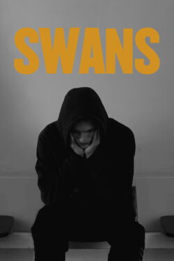 Swans (2011)
