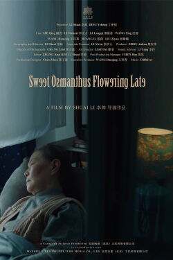 Sweet Osmanthus Flowering Late (2024)