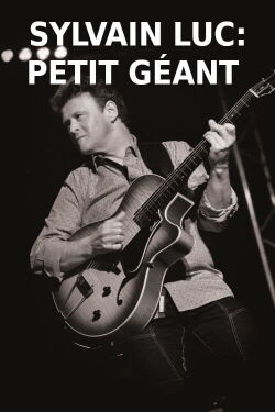 Sylvain Luc - Petit Géant (2002)