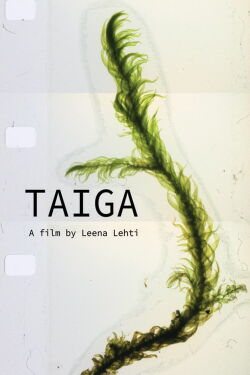 Taiga (2021)