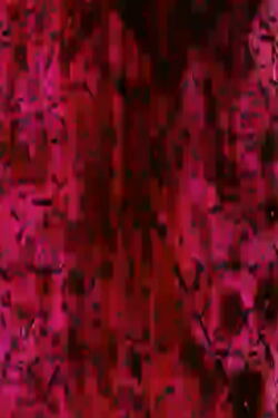 Tamper Oh No (Part I) (2010)