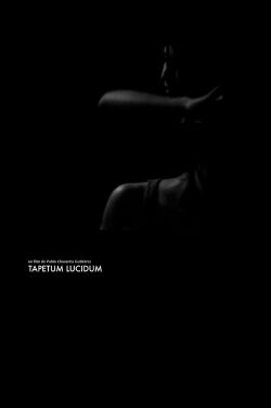 Tapetum Lucidum (2013)
