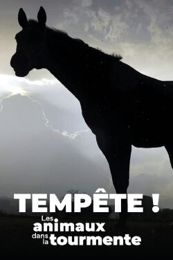 Tempête ! Les Animaux dans la tourmente (2023)