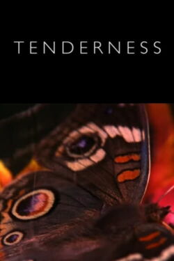 Tenderness (2017)